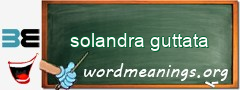 WordMeaning blackboard for solandra guttata